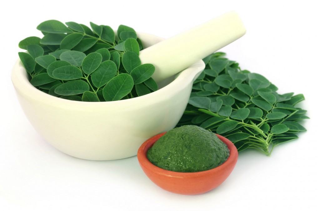 Die Moringa-Blätter enthalten wichtige Nährstoffe | (c) Bigstockphoto ID: 112512422 | A K Choudhury